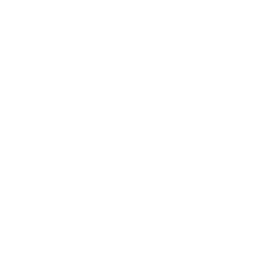 Family City instagram