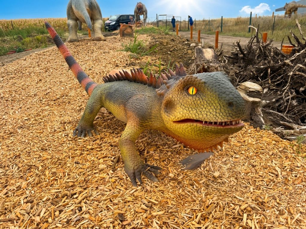 Merlin's Dinoland – Family City (13)