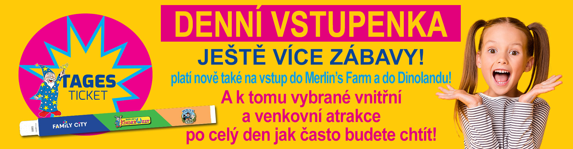 Denní vstupenka