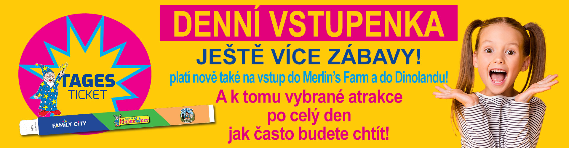 Denní vstupenka